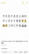 本人儿子“上小学期间